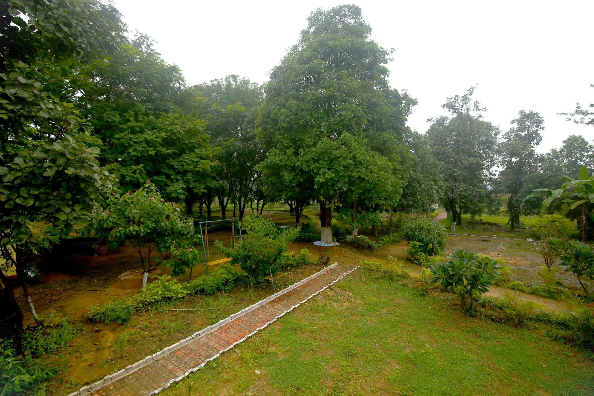 Tribal Wood Resort Dhanwār Exterior foto